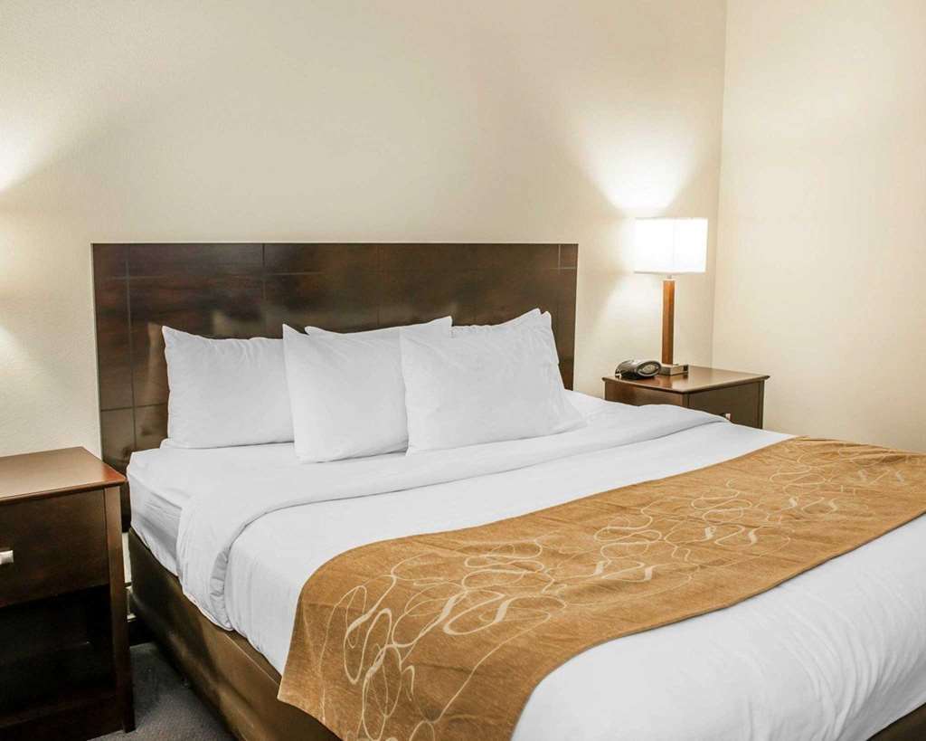 Comfort Suites Fort Wayne - Southwest Phòng bức ảnh